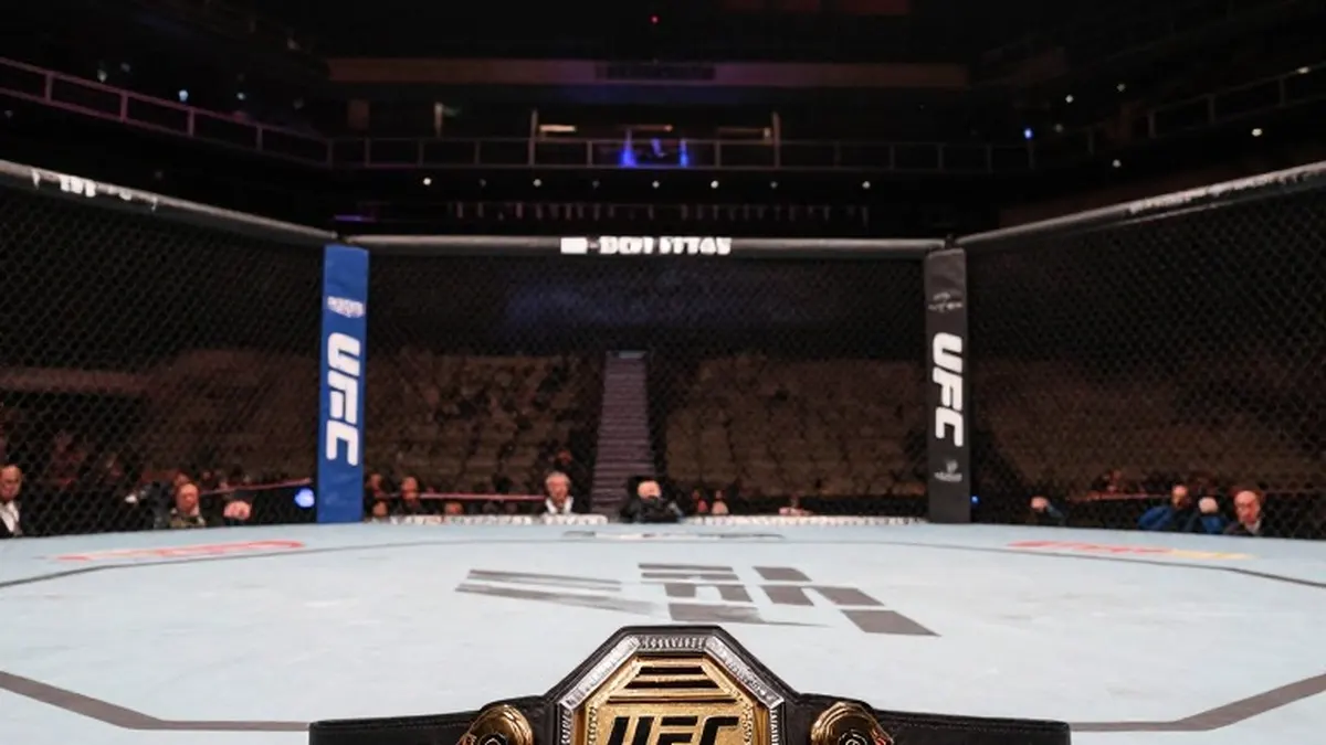 Illustration for: Volkanovski and Yan Retain Belts at UFC 333, but Next Challengers Remain Open